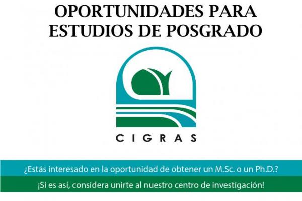 Oportunidades para estudios de posgrado